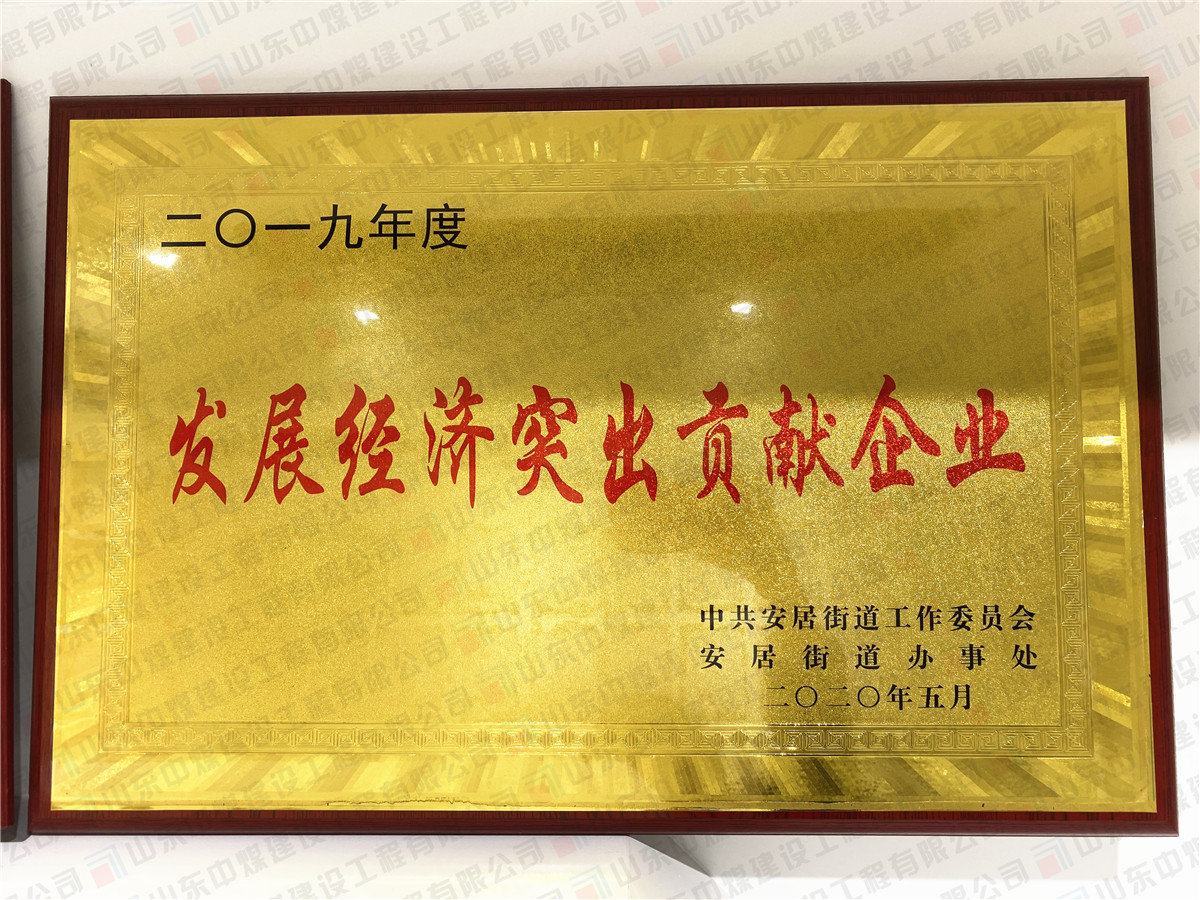 2019年度发展经济突出贡献企业